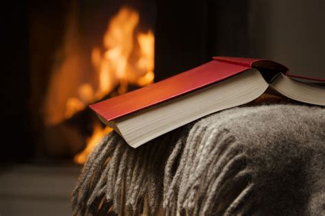 5 novels by DC-area authors in 2023 to put on your holiday reading list